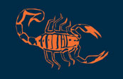 Scorpion Knives